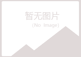 鹤岗兴山宛白采矿有限公司